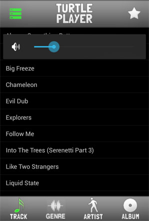 Turtle Player - View Tracks